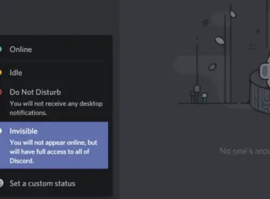 How to Appear Offline on Discord?‍